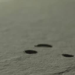 Title Sequence For A Film Broadcast cover image