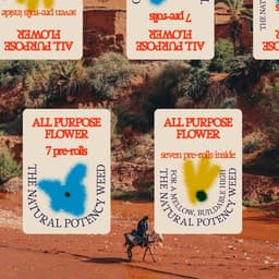 All Purpose Flower - Nihilo design work cover image