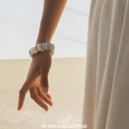 Branding System For A Sustainable Silk Brand cover image