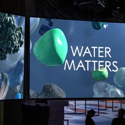 A Brand Identity Strategy For The Nobel Prize cover image