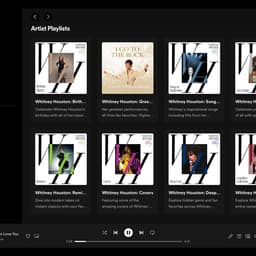 Brand Identity For An Iconic Music Artist cover image