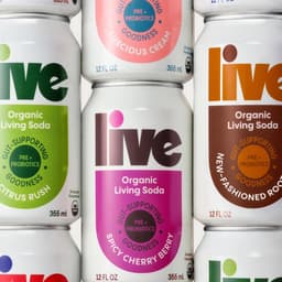 Brand Identity And Packaging System For An Organic Living Soda cover image