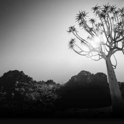 A Brand Strategy And Identity For An Innovative Eyewear Company cover image