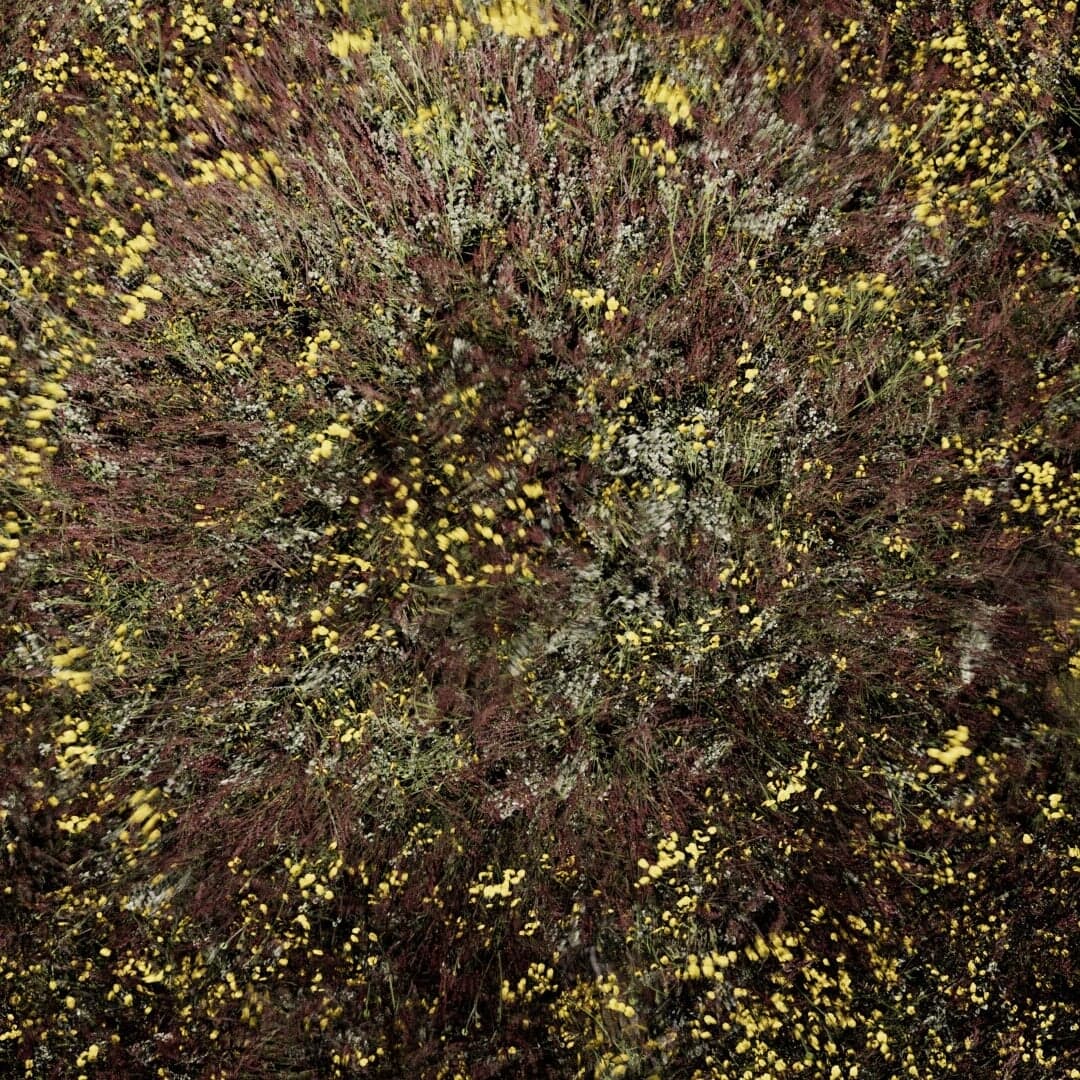 3d Product Visualization For Ecospencer Clean Dispenser Technology