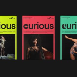 Rebranding For An Established Art Institution cover image