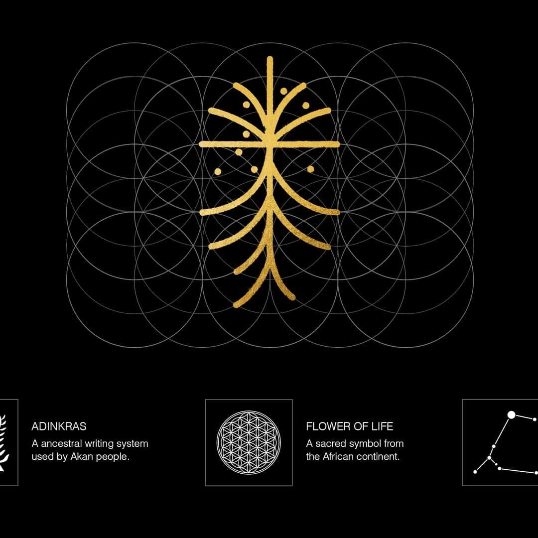 Music Video And Web Experience For Criolo's The Tree Of Wealth