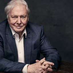 App Development For Sir David Attenborough's Storytelling cover image