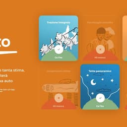 A Web Experience For A Pre-owned Car Trading Company cover image