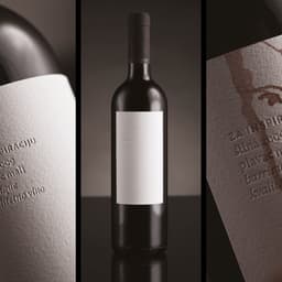 Packaging And Branding For A Wine Collection cover image