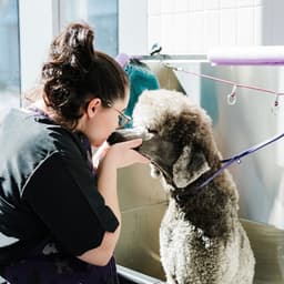 Brand Strategy For A Pet Care Company cover image