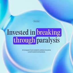 Visual Identity And Website Design For A Venture Philanthropy Fund cover image