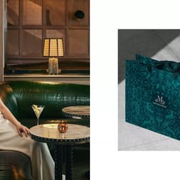 Brand Strategy For An Iconic Luxury Hotel Group cover image