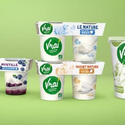 Brand Identity Development For A Pioneering Organic Milk Company cover image