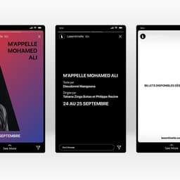 Branding For A Black Theater Company cover image