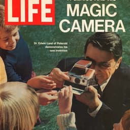 Digital-first Comeback For An Iconic Analogue Brand cover image