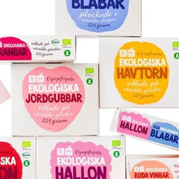 Packaging Design For A High-quality Brand cover image