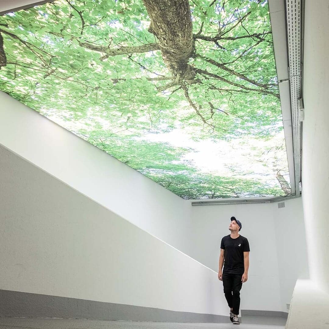 Brand Identity For An Urban Mobility Company