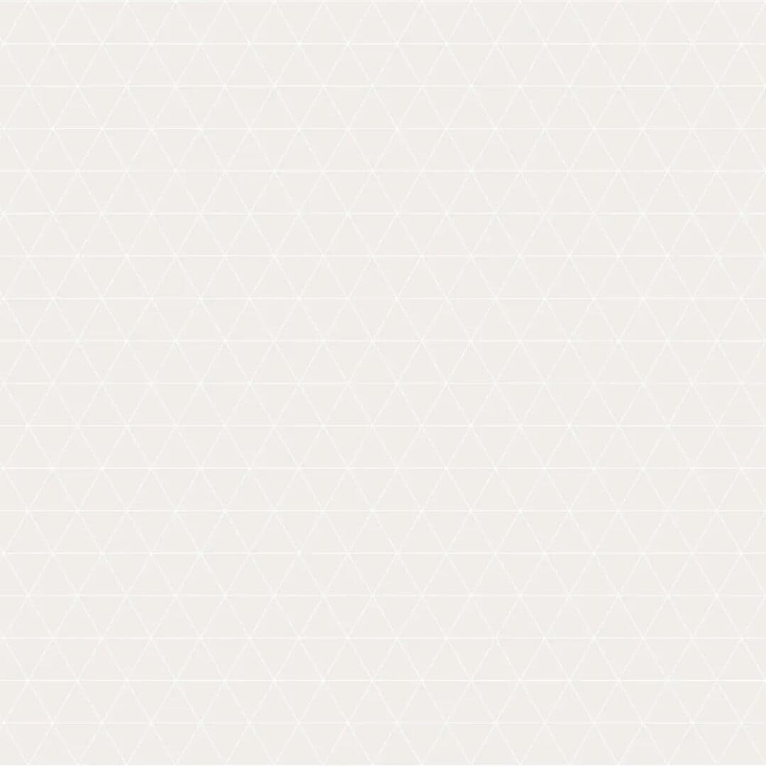 Brand Identity For Sweden’s Freshest Fast Food Chain