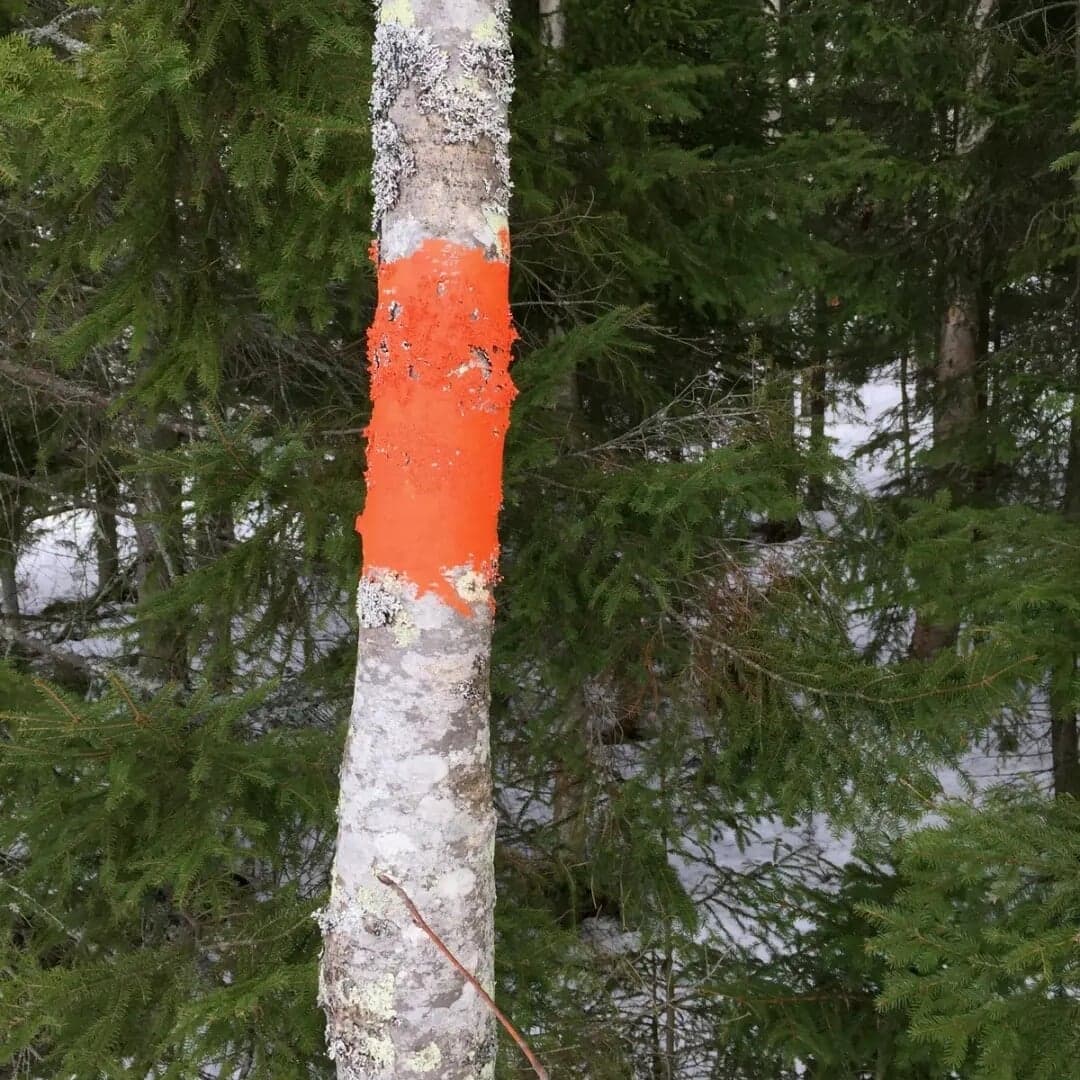 Visual Identity For Crescent Mountain Bike Range