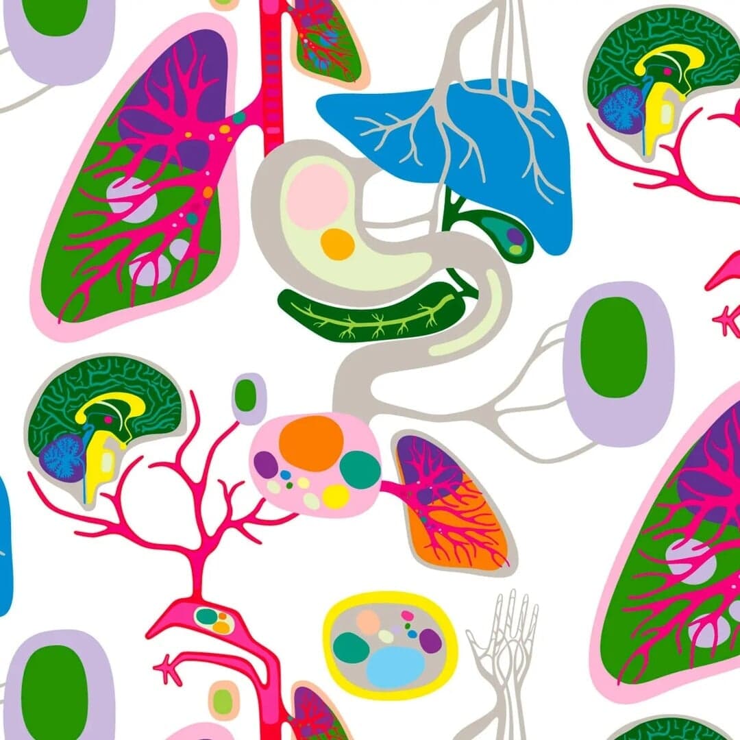 Brand Identity And Retail Revamp For Hemtex