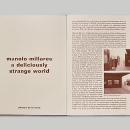 Exhibition Publication Design For A Prominent Spanish Artist cover image