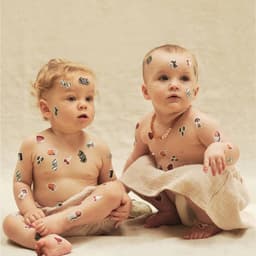 Desmond & Dempsey - Nari design work cover image