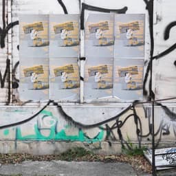 Campaign For A Voice To Parliament Initiative cover image