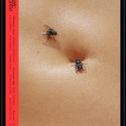 Todas Las Flores - Codea design work cover image