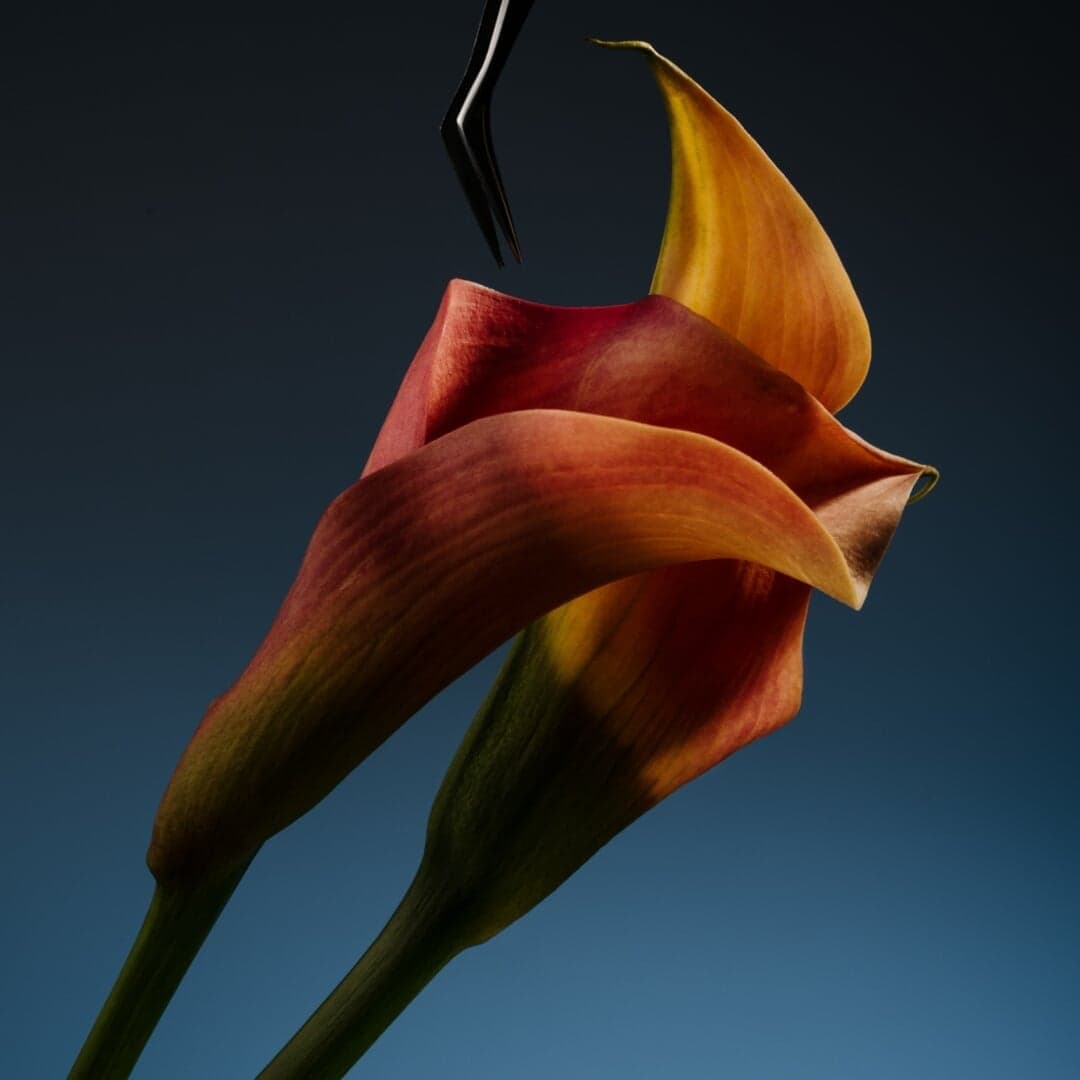 Set Design And Photography For Ten Twelve