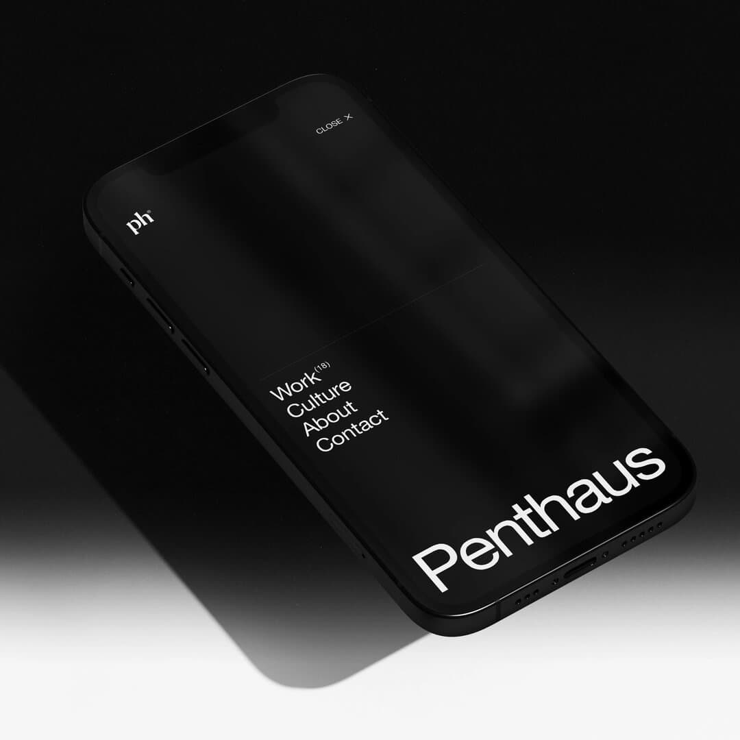 Brand Identity For Penthaus
