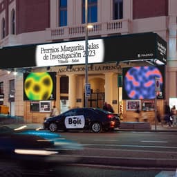 A Campaign For The Margarita Salas Awards cover image