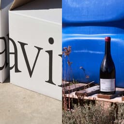 Brand Identity Development For A New Wine Project cover image