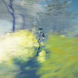 A Multisensory Game Experience For Natural Exploration cover image