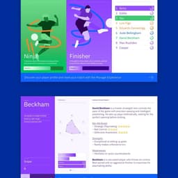 Experiential Interaction Design For A Professional Sports Team cover image