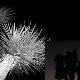 City Of Lights - Voodoo Voodoo design work cover image