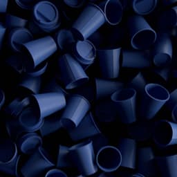 A Campaign For A Sustainable Initiative cover image