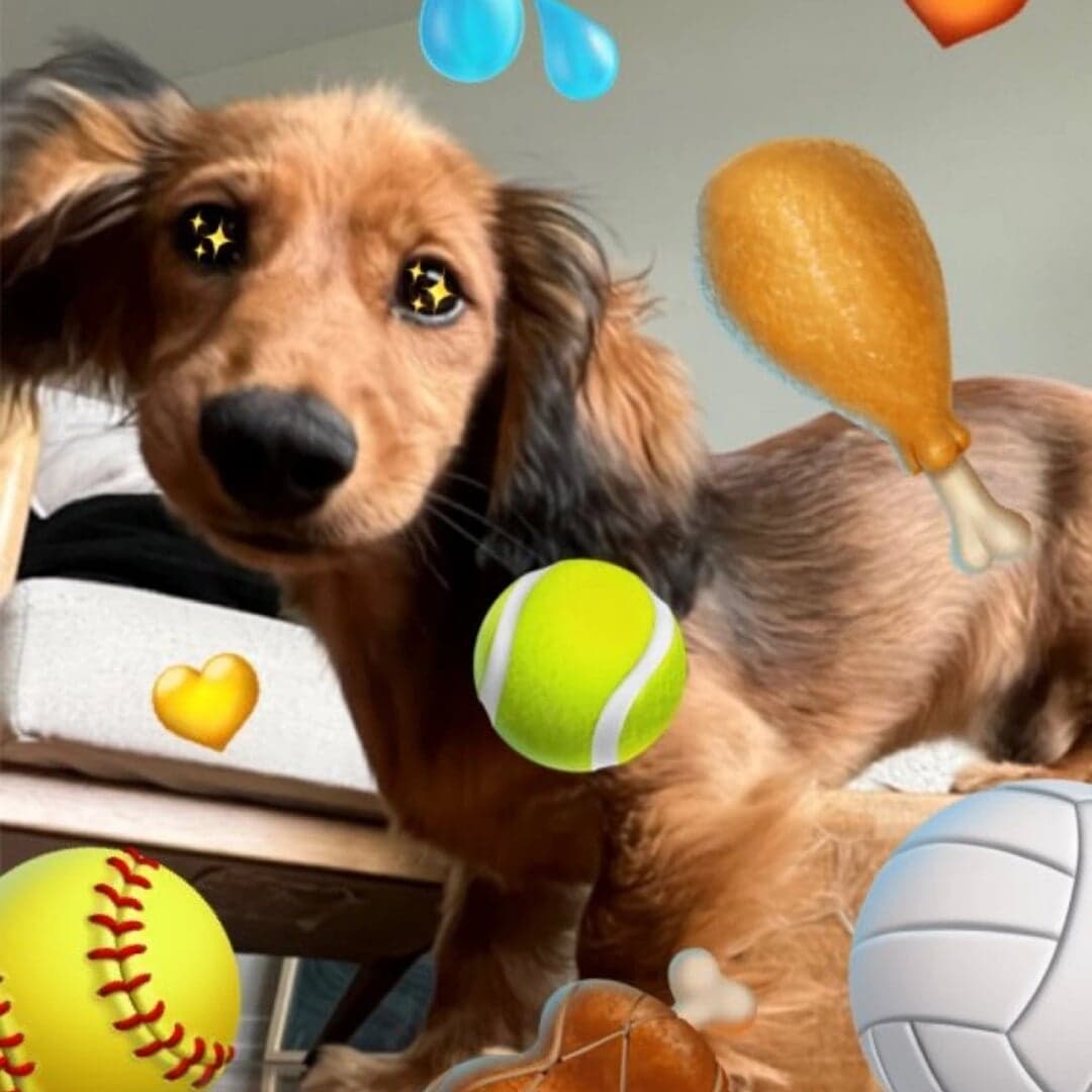 Emoji Design System For Twitter Twemoji