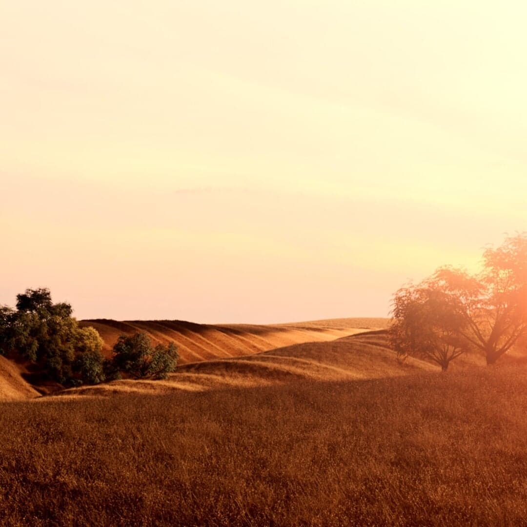 Cg Campaign For Ralph Lauren Romance Elixir