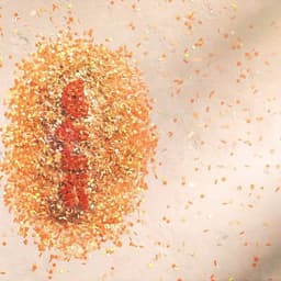 Motion System And Broadcast Package For A Major Uk Television Network cover image