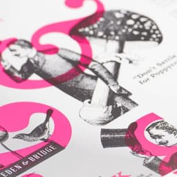 Brand Identity And Packaging Design For A Premium Pie Range cover image