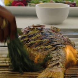 Albany - DD London design work cover image