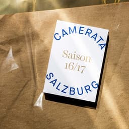 Adler - Bruch design work cover image