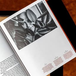 47 Grad Magazin - Bruch design work cover image