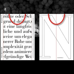 Branding And Packaging Design For A Winery cover image