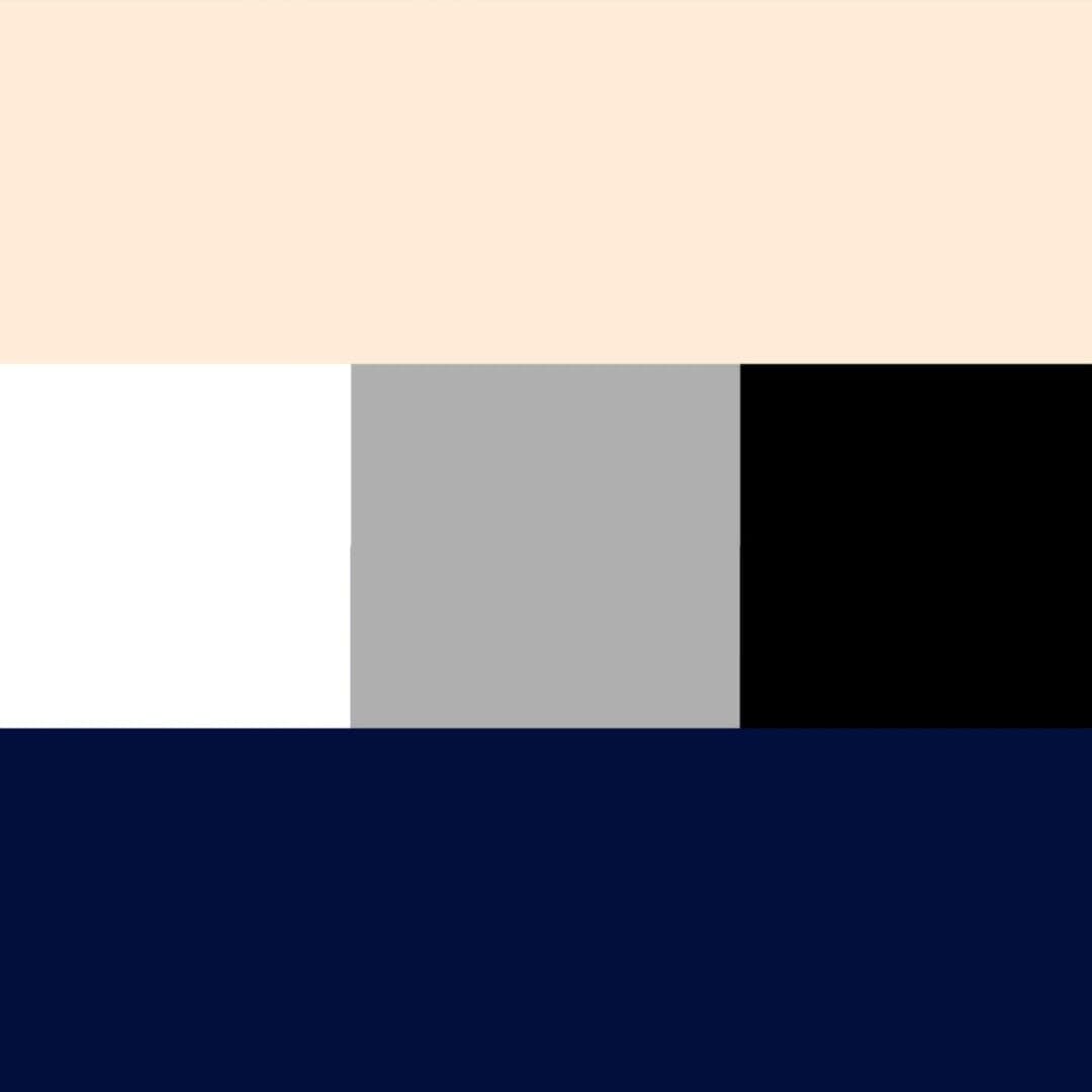 Election Identity For Tv 2 Denmark