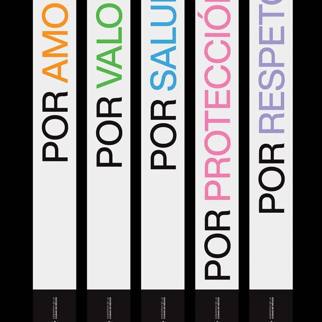 Public Awareness Campaign For The Government Of Mexico City