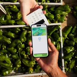 A Rebrand For A Global Money Transfer Service cover image