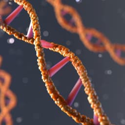 Medical Animations For A Healthcare Initiative cover image