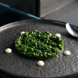 Ángel León - Septimo design work cover image