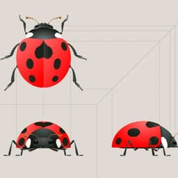 A Tale Of Grit, Determination, Teamwork, And Anti-litter Bugs. cover image